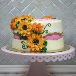 Angies BC13 cake front view